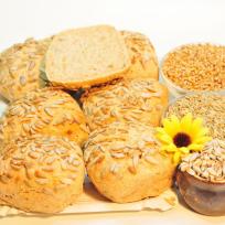 Bio Sonnenkern Brötchen